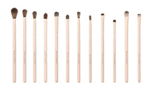 Load image into Gallery viewer, Nude X 12 Piece Brush Set